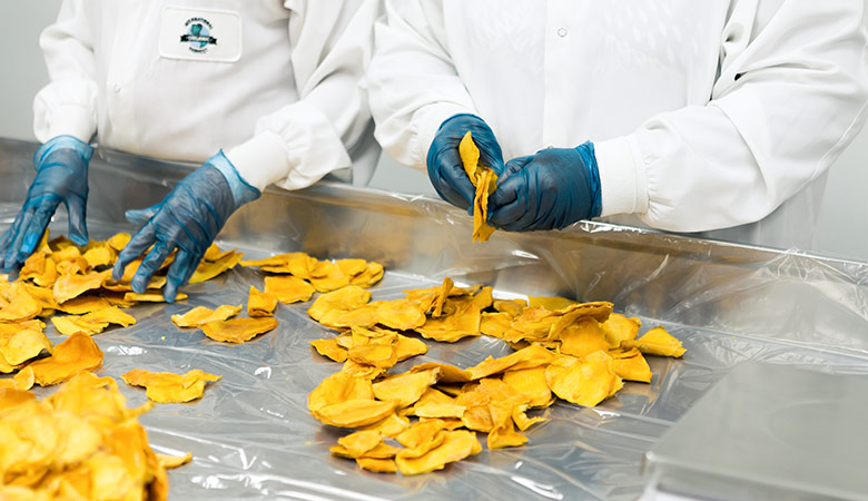 It’s in our hands: how to improve Food Safety and Hygiene