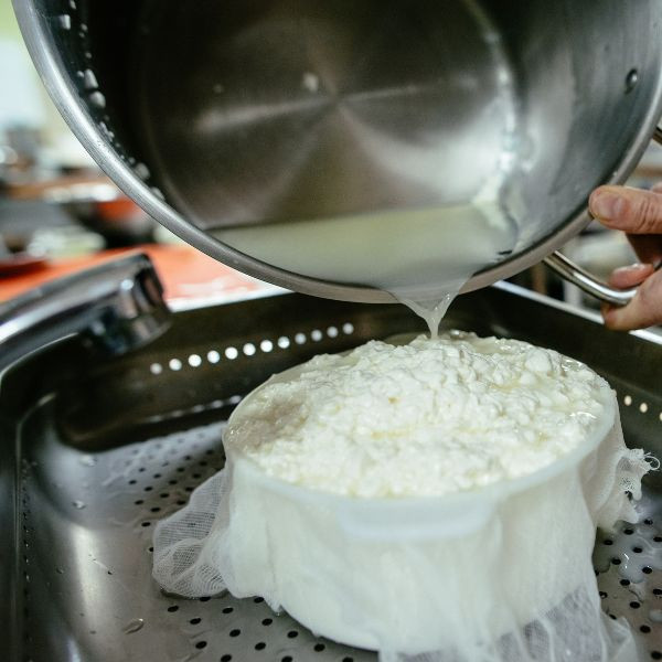 Dairy